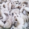 Baby Octopus frozen