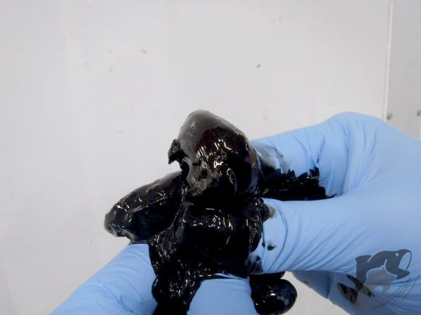 cuttlefish ink frozen