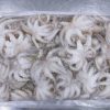 Baby Octopus frozen