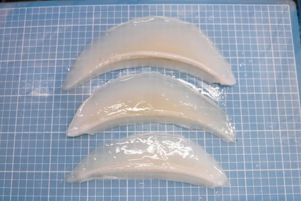 Soft Cuttlefish Wing frozen