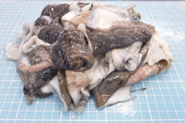 cuttlefish skin frozen