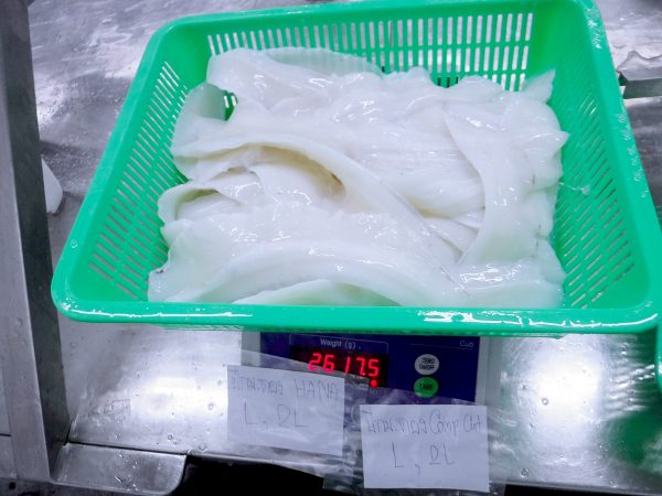 cuttlefish Wing frozen
