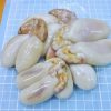 cuttlefish roe frozen