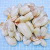 cuttlefish roe frozen