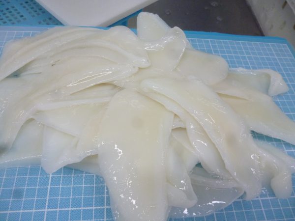 Soft Cuttlefish Wing frozen