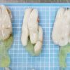 Soft Cuttlefish roe frozen
