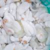 Soft Cuttlefish roe frozen