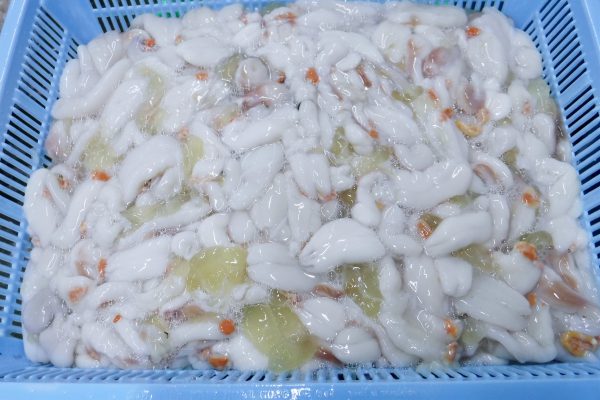 Soft Cuttlefish roe frozen