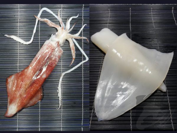 Squid Fillet Vacuum